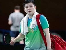 IM体育-比利时乒乓球队险胜德国乒乓球队，樊振东送出助攻的简单介绍