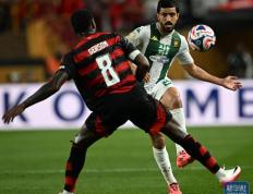 IM体育官方平台-关于弗拉门戈收购助力球队实力大增，掀起热潮的信息