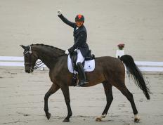 IM体育下载-葡萄牙马术运动员表现精彩赢得好评的简单介绍