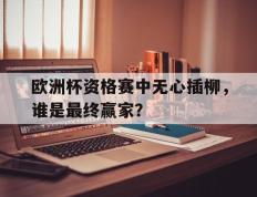 IM体育App下载-关于欧洲杯资格赛中无心插柳，谁是最终赢家？的信息