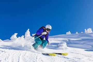 IM体育App下载-戈贝尔惊艳四座，吉林队险胜太阳，一场定义坚韧的胜利