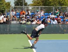 IM体育注册链接-包含意大利网球队险胜西班牙网球队，穆雷高光表现的词条