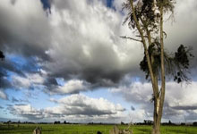 IM体育App下载-关于21年CBA季后赛赛程表出炉：广东首轮对阵辽宁，四川迎战深圳的信息