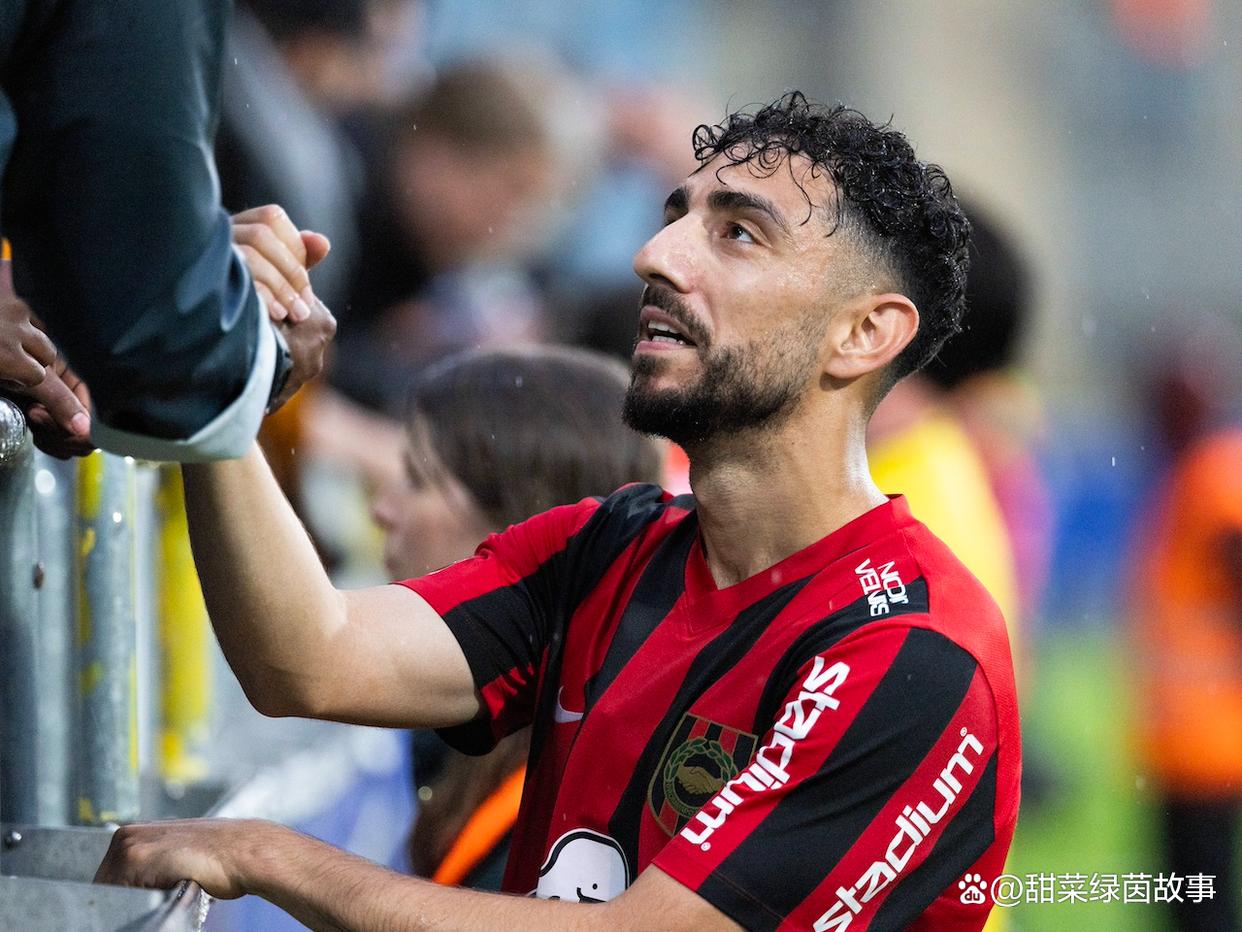 IM体育官网入口-瑞典客场击败摩尔多瓦,欧洲杯资格赛形势稳定