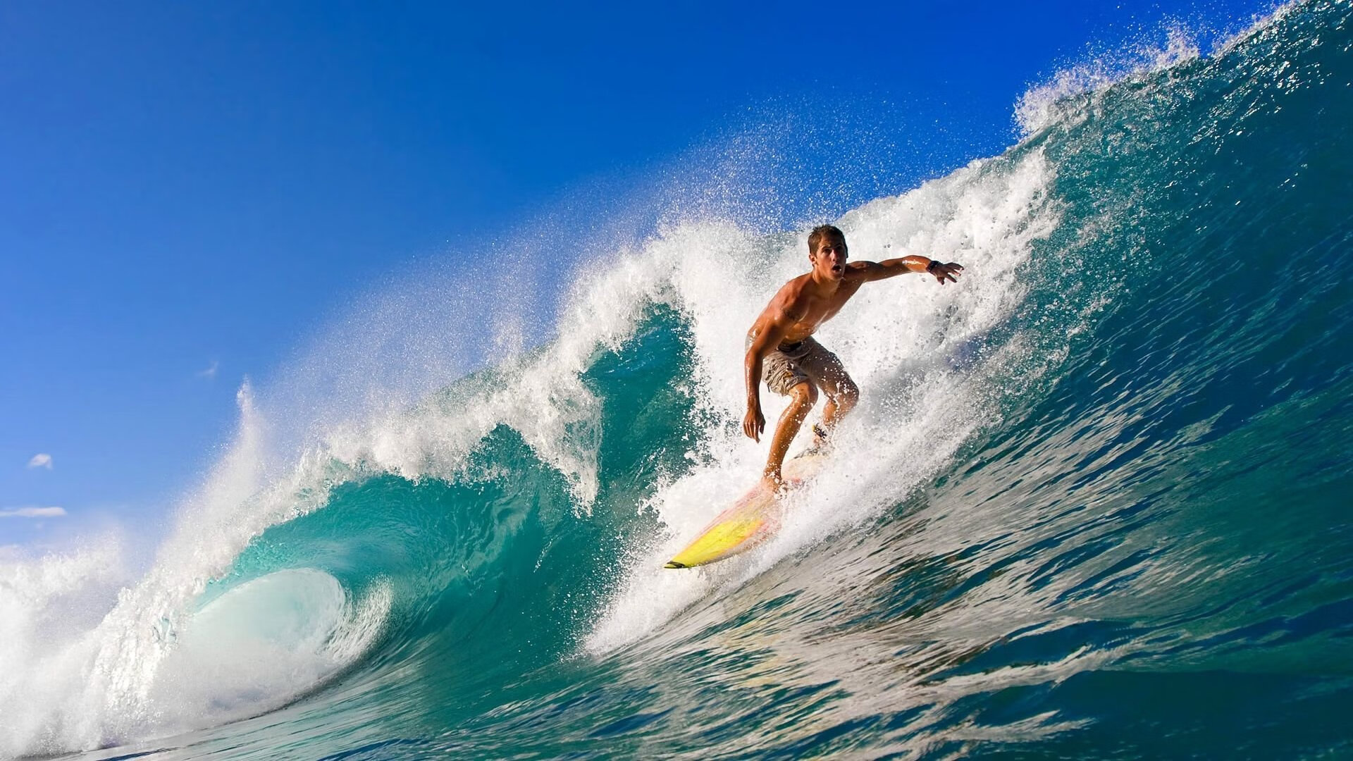 IM体育社区互动入口-街道上的战争,球场上的风暴,当F1引擎遇见欧冠激情