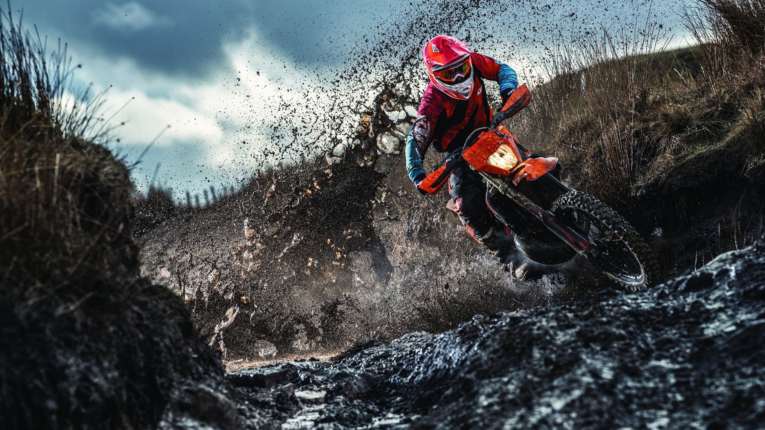 IM体育官方平台-塞维利亚的橙色风暴，戈麦斯独舞，威尔士防线在安达卢西亚之夜溃散